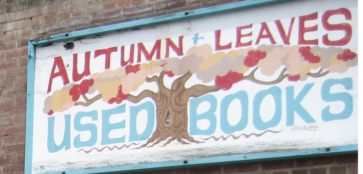 Autumn Leaves Logo/Photo